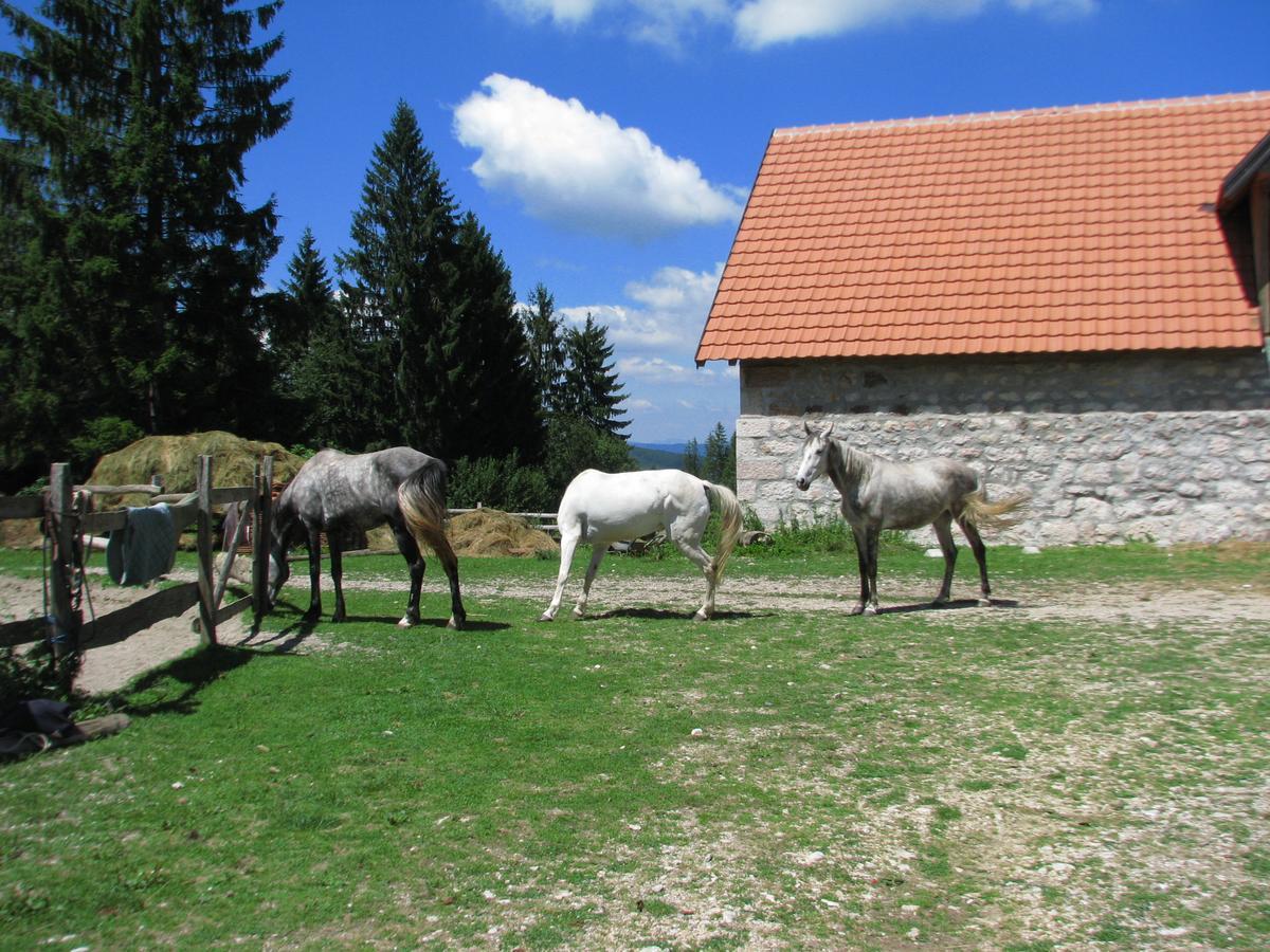 Vila Dodi Villa Баина Баща Екстериор снимка