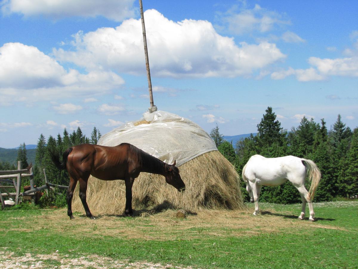 Vila Dodi Villa Баина Баща Екстериор снимка